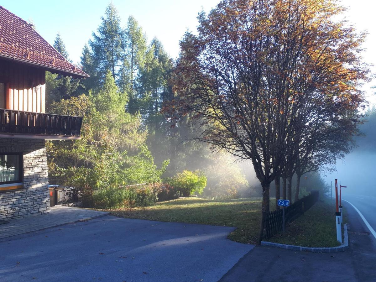Ferienhaus Aloisia Sankt Michael im Lungau Dış mekan fotoğraf